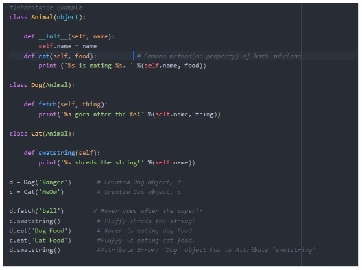 Python Constructor